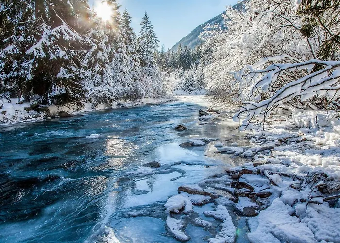 Daire Walter By Interhome Wenns